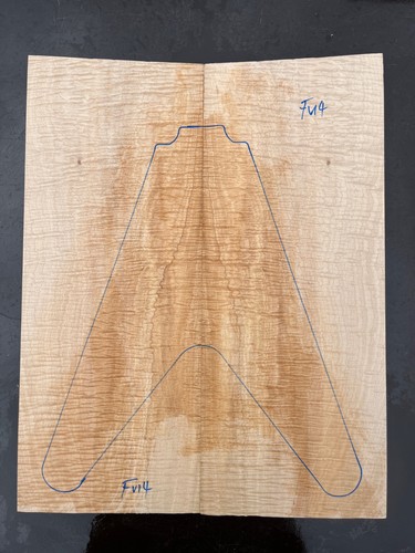 Curly sycamore maple flying - maple, v