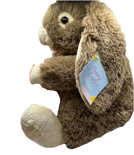 Easter bunny holding carrot - easter,