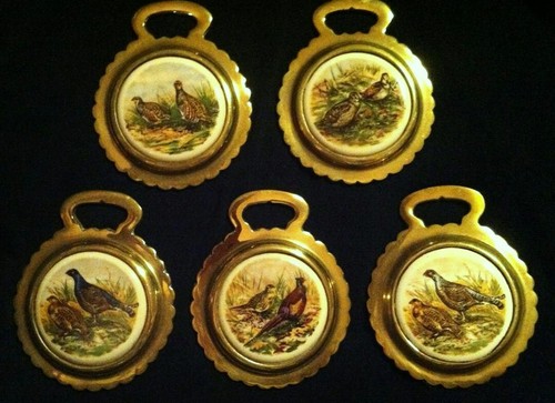 Set british game birds - set, 5