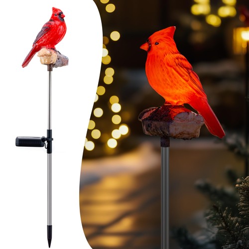 Cardinal solar lights outdoor - solar,