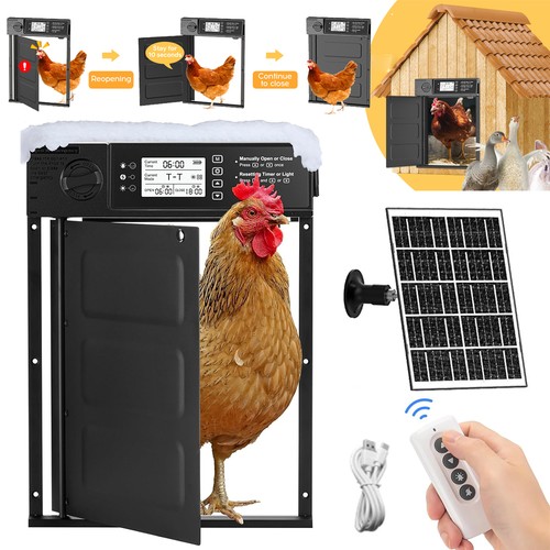 Automatic chicken coop door - automatic,