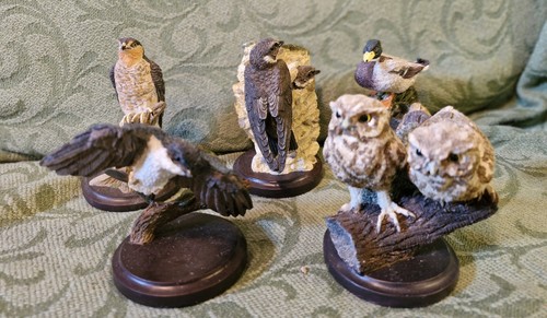 Country bird collection - bird,