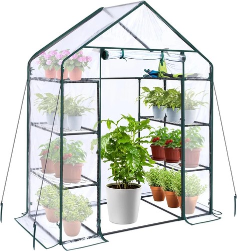 Small greenhouse for - small, outdoors