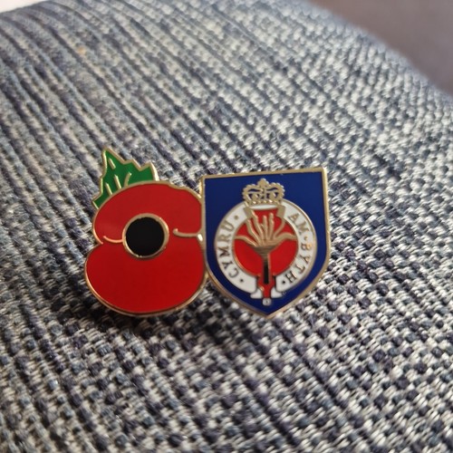 Poppy and welsh guards - poppy,