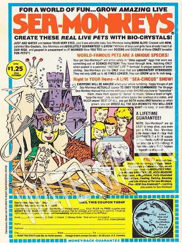 Sea monkeys vintage high - sea,