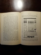RARE/OLD THE ESSENTIALS OF PSYCHOLOGY, by WB PILLSBURY, MEDICAL, ILLUSTATED 1915