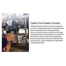 Cow Fluid Feeder Cattle