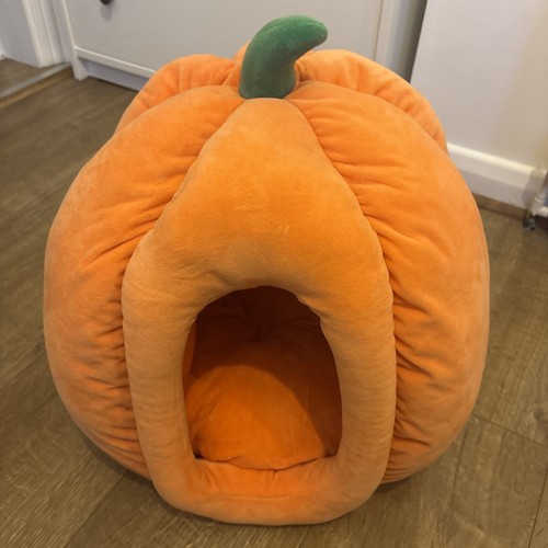 Heart tail pumpkin pet - to,