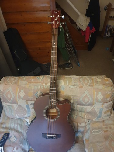 Acoustic bass guitar - acoustic,