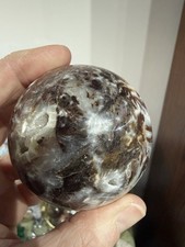 Large Petrified Wood and