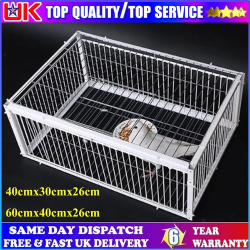 Pigeon trap cages single way - trap,
