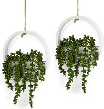 2 Pack Hanging Plant