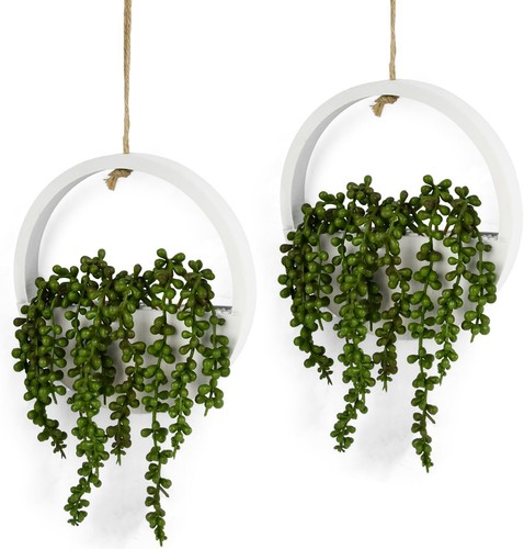 Pack hanging plant - pack,