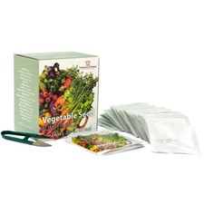 Vegetable Seed Plant Box
