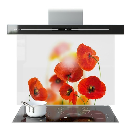 Kitchen glass splashback - kitchen,