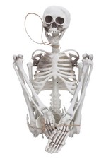 Halloween 170cm Large Poseable Human Skeleton Full Life Size Party Home Decor