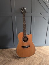 Takamine GD20CE