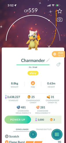 Shiny charmander with cubone - shiny,
