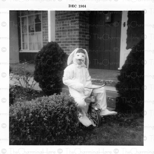 Vintage photo 1964 child - photo,