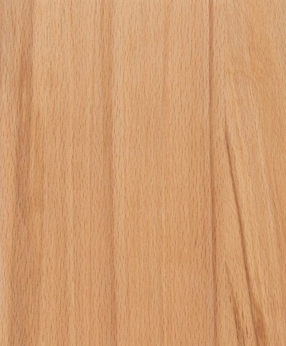 Full stave rustic beech - stave,
