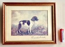 Elizabeth Ansell - Springer