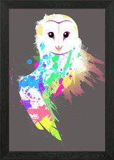 Barn Owl - Rainbow Splash