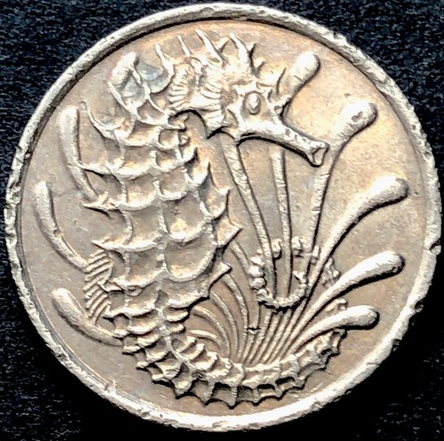 Seahorse coin singapore - seahorse, coin-singapore