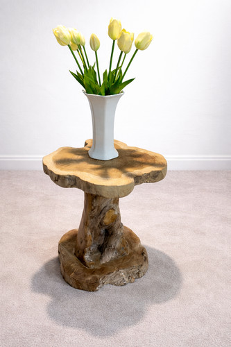 Solid teak root coffee table - solid,