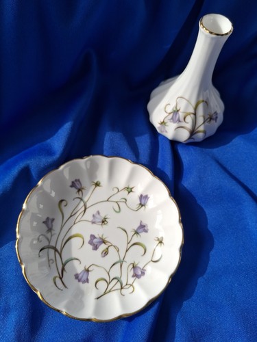 Spode campanula fine - campanula,