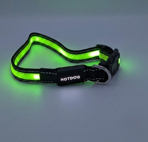 Hotdog led dog - collar, usb