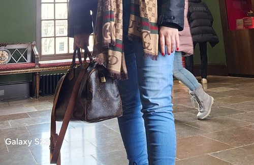 Speedy bag louis - 30,