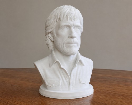 Chuck norris bust statue home - chuck,