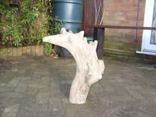 large driftwood