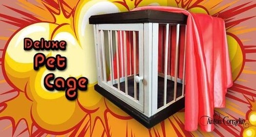 Magic trick big - magic,