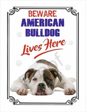 BEWARE AMERICAN BULLDOG LIVES HERE  #SD5 SIGN 8 X 6" DOG METAL WARNING 