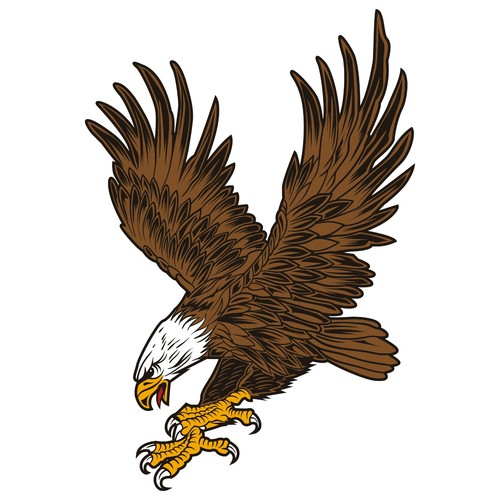 Eagle bird prey sticker 24 - bird,