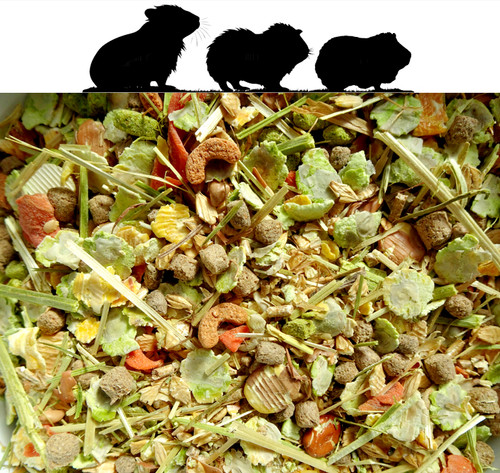 Guinea pig food - pig, of