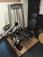 Pulse Fitness Seated Leg Curl