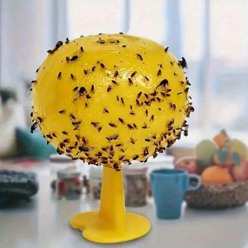 Fruit fly balls ball - fly, trap