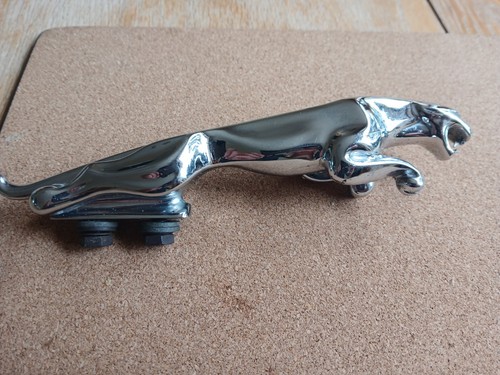 Jaguar leaping cat bonnet - cat,