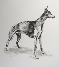 Large Original signed sketch