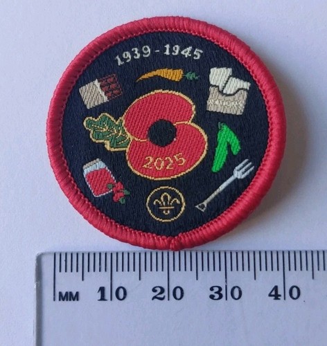 Scouting badge patch - scouting, badge/patch