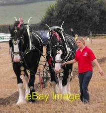 Photo 6x4 Horse ploughing 6 c2009