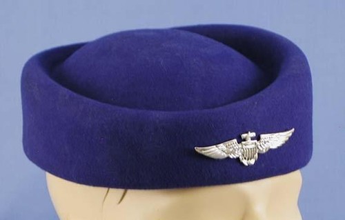 Flight attendant costume - flight, hat