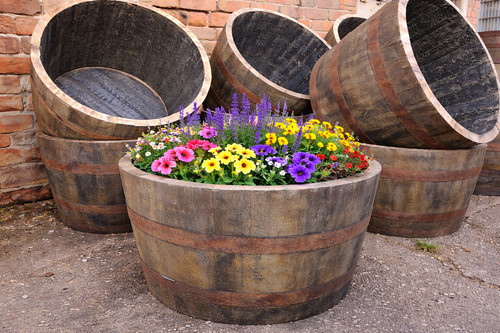 Half oak whiskey barrel - oak,