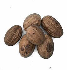 200+ SPICES & HERBS FOR 1.79P