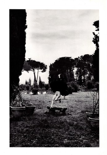 Helmut newton a garden - newton,,
