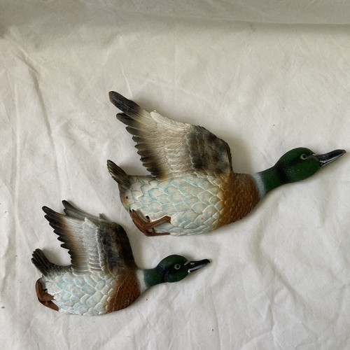 Flying wall ducks - wall, realistic