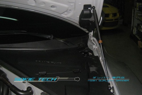 Carbon fibre strut bonnet lift - strut,