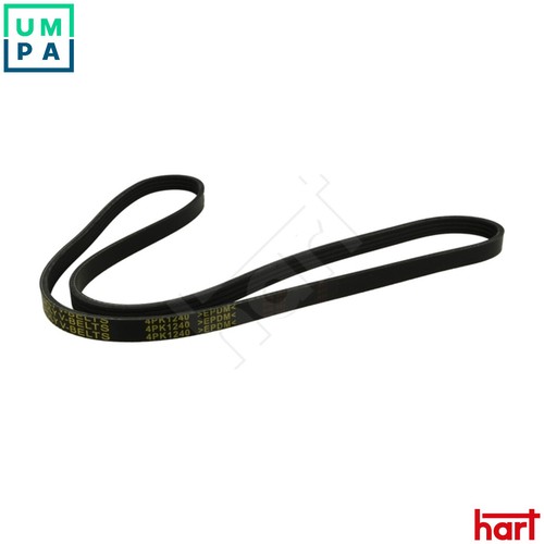 Vribbed belt 368 845 for - vribbed,